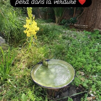 FB IMG 1761033088688