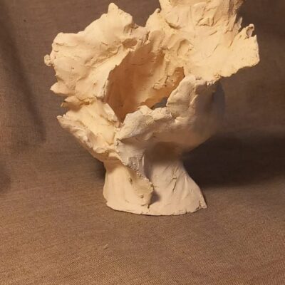 FB IMG 1769706493276