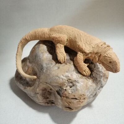 FB IMG 1769706533674