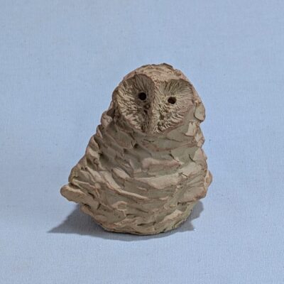 FB IMG 1769706590708