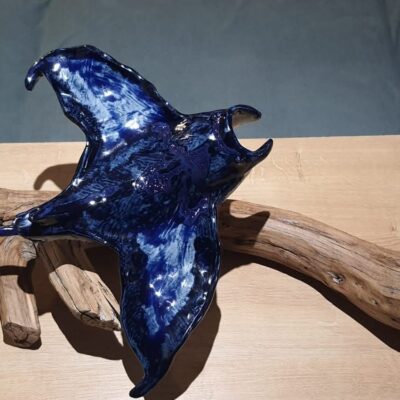 FB IMG 1769706643114