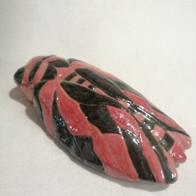 FB IMG 1769706703253