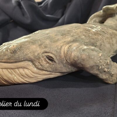 FB IMG 1769706919209