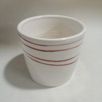 FB IMG 1770112844559