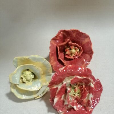 FB IMG 1770112957935