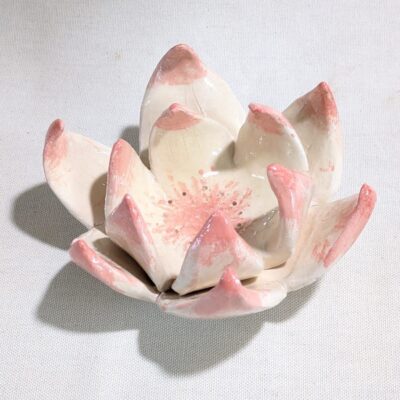 FB IMG 1770113174486