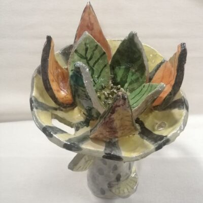 FB IMG 1770113464415