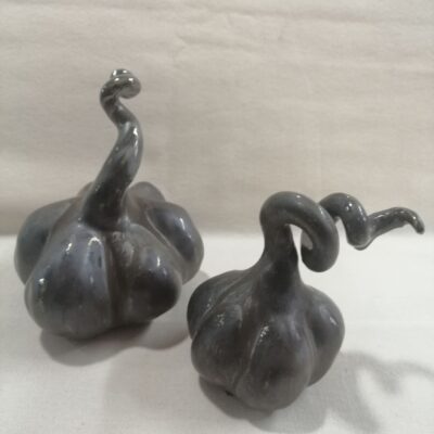 FB IMG 1770113506387