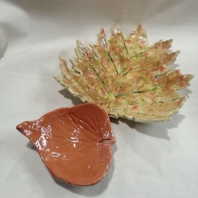 FB IMG 1770113517275