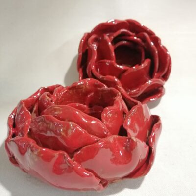 FB IMG 1770113710670