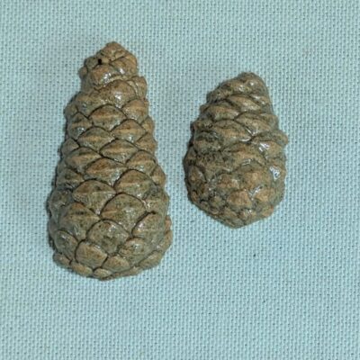 FB IMG 1770113822383