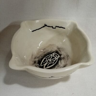 FB IMG 1770113986832