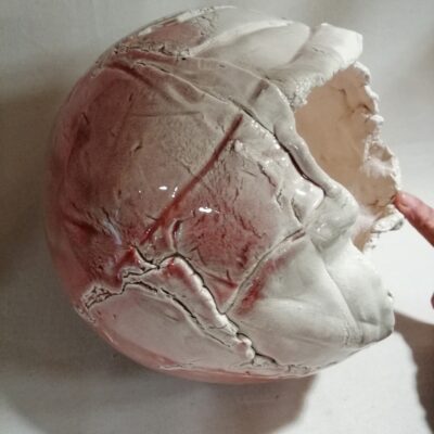 FB IMG 1770114026798