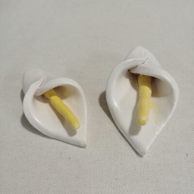 FB IMG 1770114075448