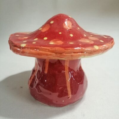 FB IMG 1770376593455