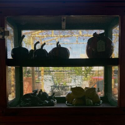 IMG 20260516 WA0195