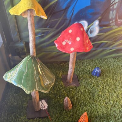 IMG 20260516 WA0244